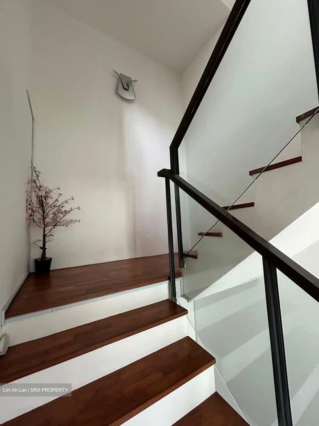 Chestnut Residences (D23), Terrace #594153551
